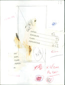 Glen Campbell - Vintage Photograph