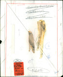 Richard Burton - Vintage Photograph