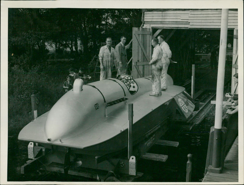 Blue Bird - Vintage Photograph