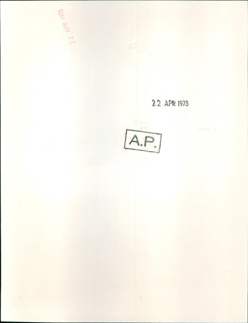 Ellen Burstyn - Vintage Photograph