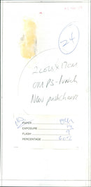 Mother with twins - Vintage Photograph