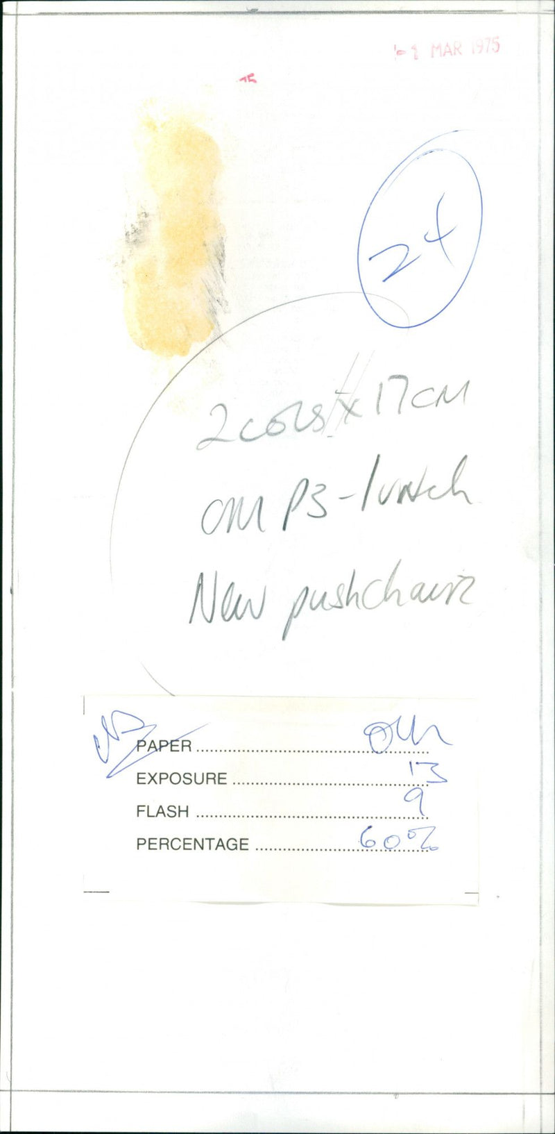 Mother with twins - Vintage Photograph