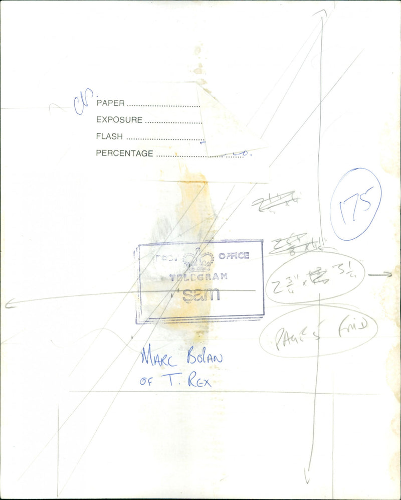 Marc Bolan - Vintage Photograph