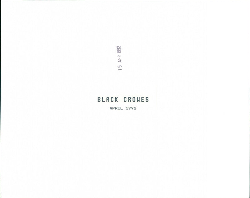 Black crowes - Vintage Photograph