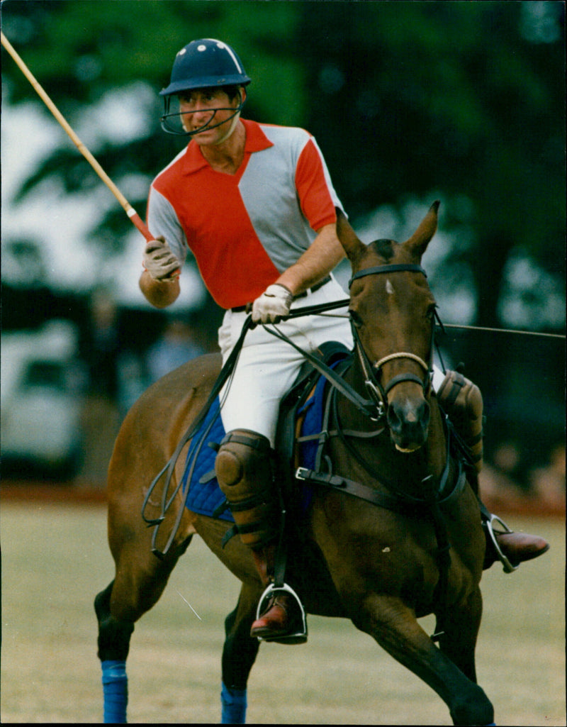 Prince Charles - Vintage Photograph