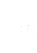 Tony Blair - Vintage Photograph