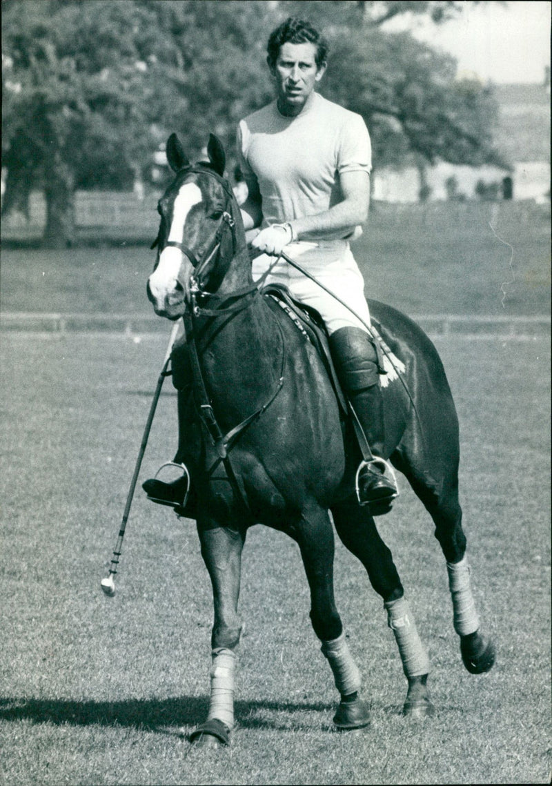 Prince Charles - Vintage Photograph