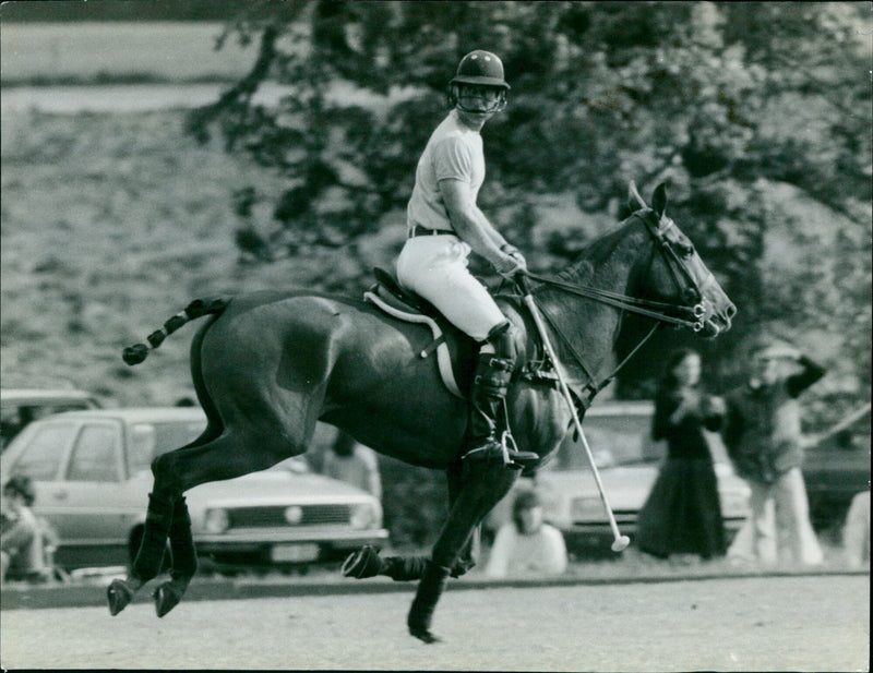 Prince Charles - Vintage Photograph