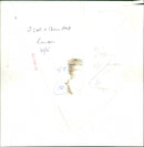 Prince Charles - Vintage Photograph