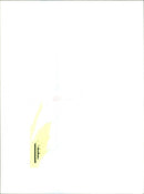 Fiat Multipla - Vintage Photograph