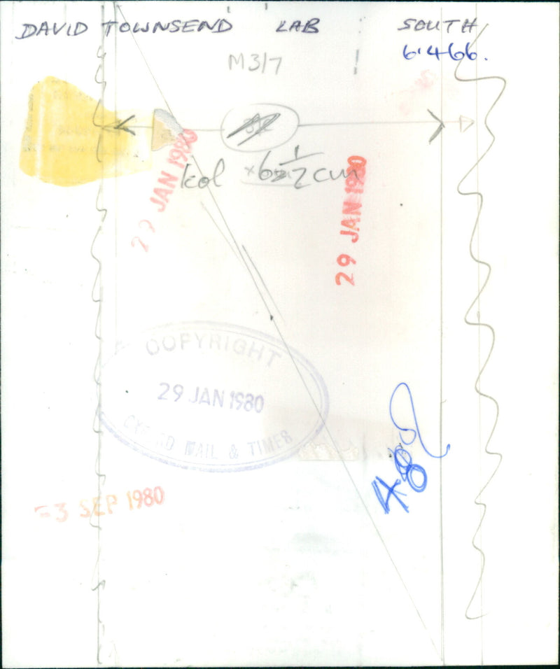 David Townsend - Vintage Photograph