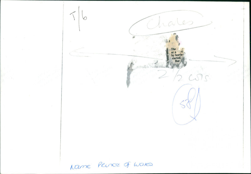 Prince of Wales - Vintage Photograph