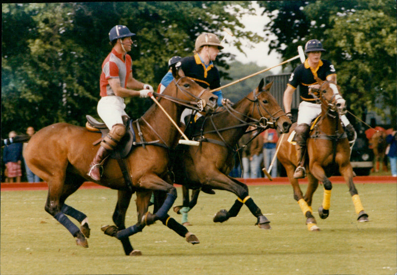 Prince of Wales - Vintage Photograph