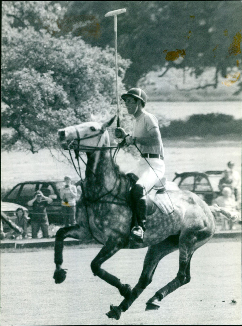 Prince Charles - Vintage Photograph