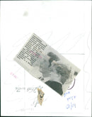 Prince of Wales - Vintage Photograph