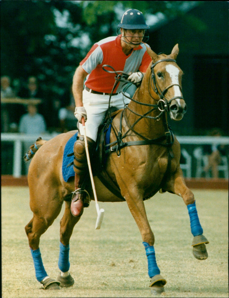 Prince Charles - Vintage Photograph