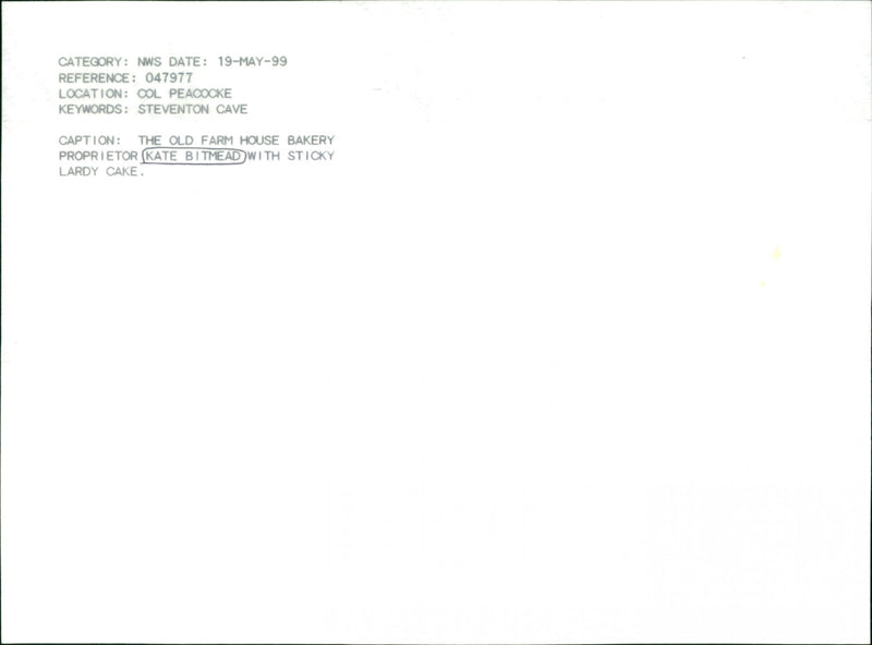 Kate Bitmead - Vintage Photograph