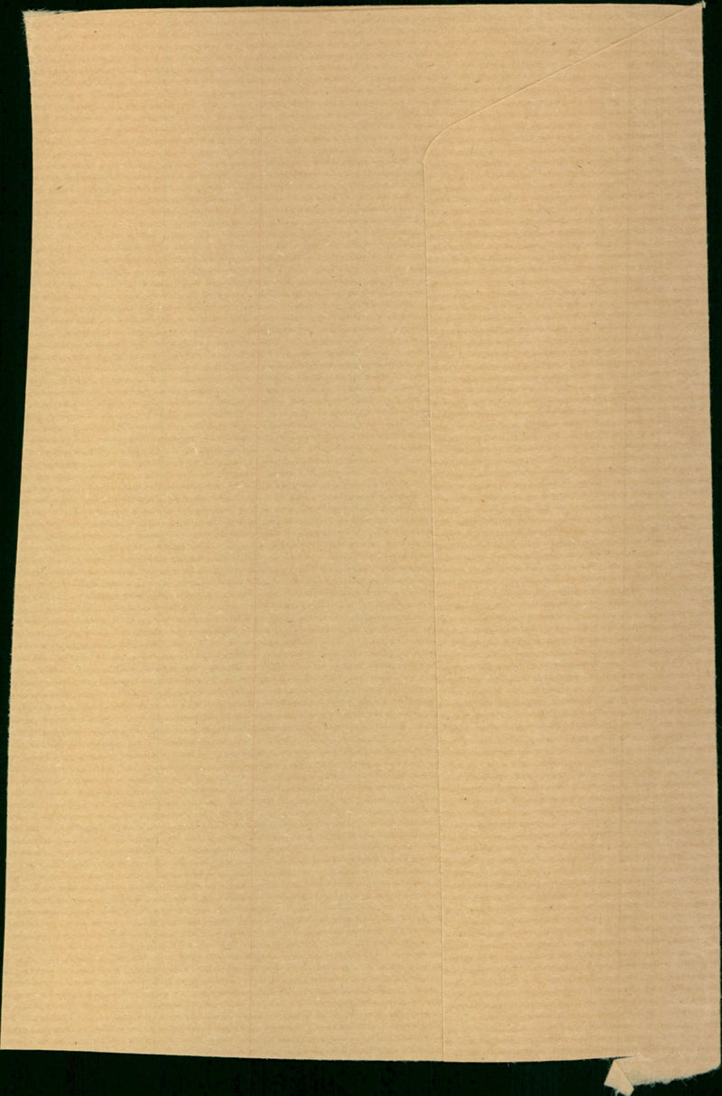 Bitney Damon - Vintage Photograph