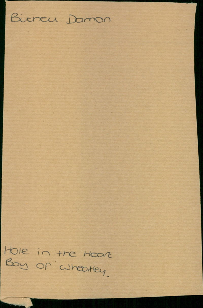 Bitney Damon - Vintage Photograph