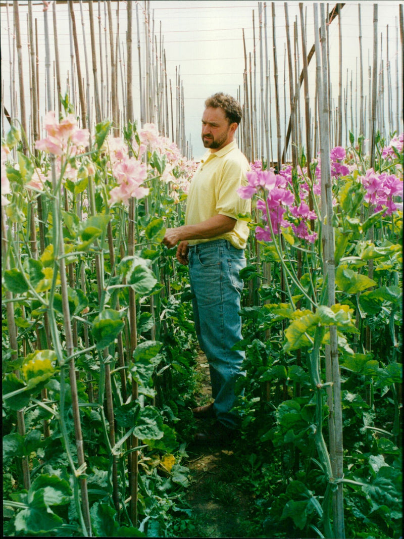 Steve Townsend - Vintage Photograph