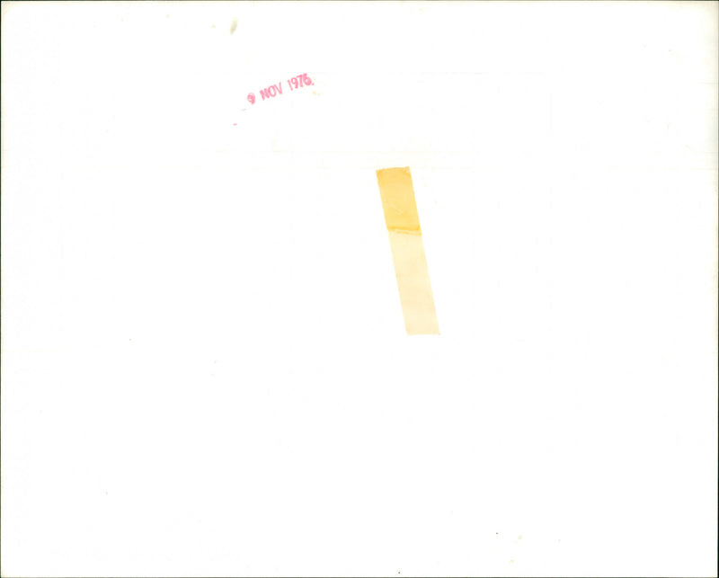 Jacqueline Bisset - Vintage Photograph