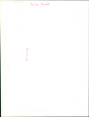 Jacqueline Bisset - Vintage Photograph