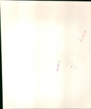 Jacqueline Bisset - Vintage Photograph