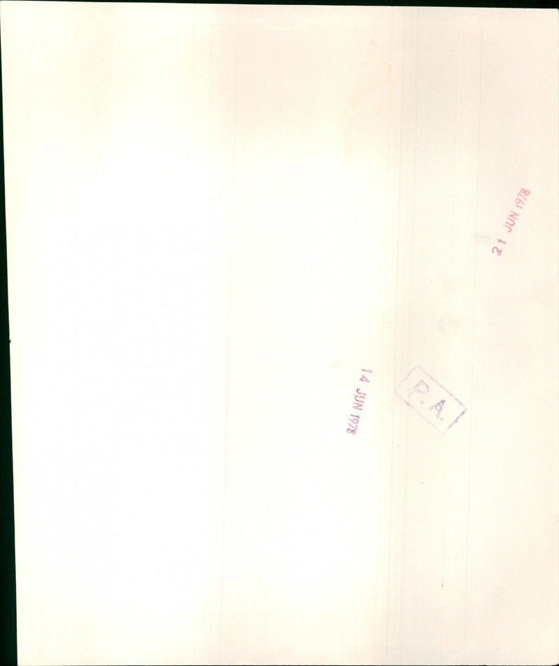 Jacqueline Bisset - Vintage Photograph