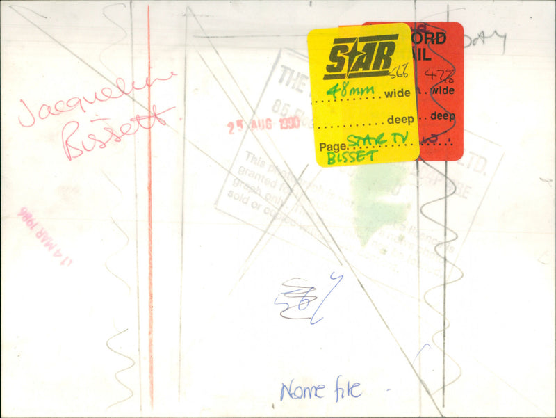 Jacqueline Bisset - Vintage Photograph