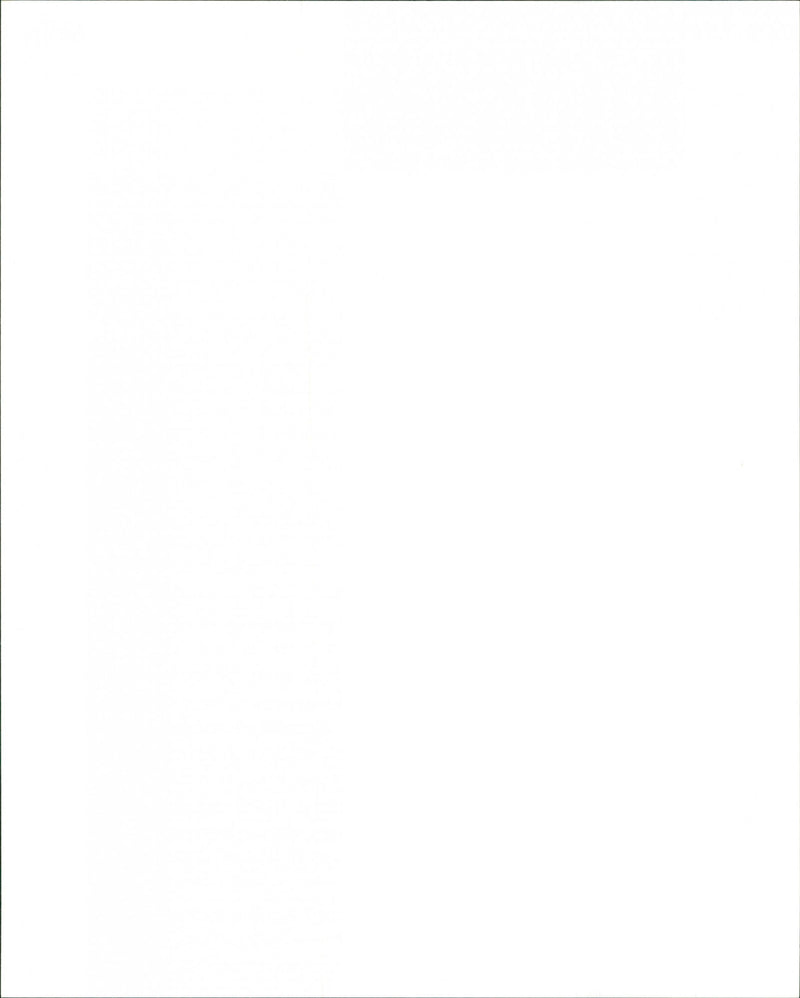 Bizzi - Vintage Photograph