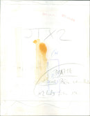 Dick Van Dyke - Vintage Photograph