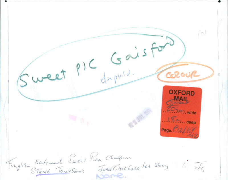 Steve Townsend - Vintage Photograph