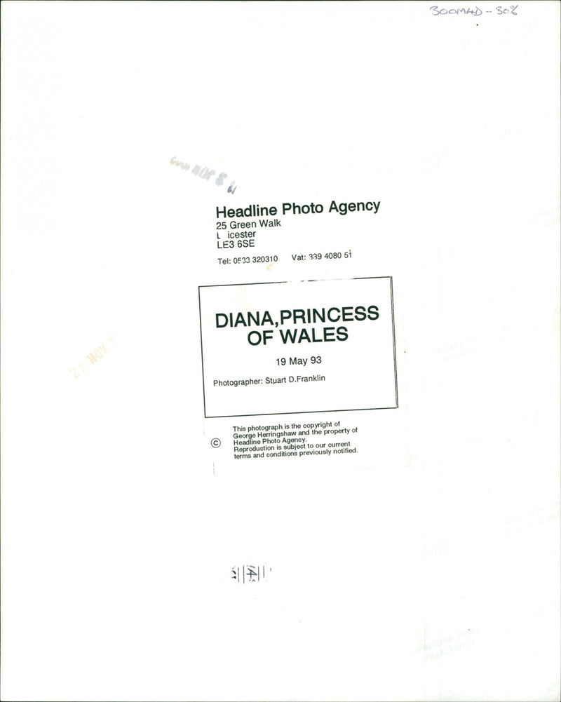 Diana, Princess of Wales - Vintage Photograph