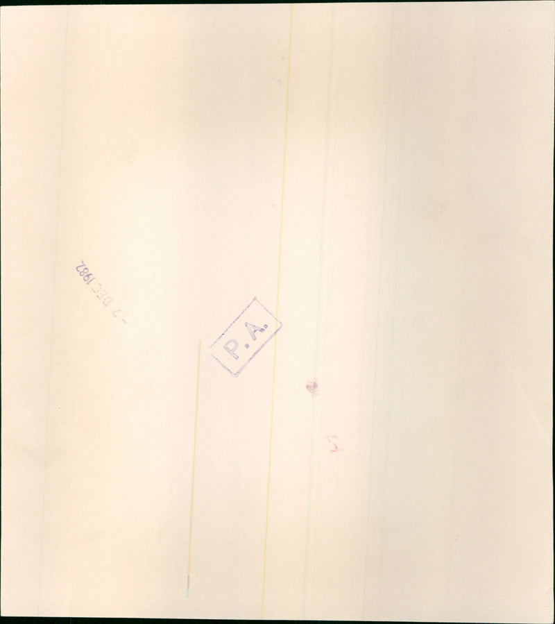 Princess of Wales - Vintage Photograph