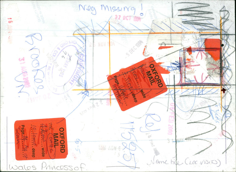 princess of wales - Vintage Photograph