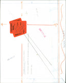 The princess of Wales - Vintage Photograph