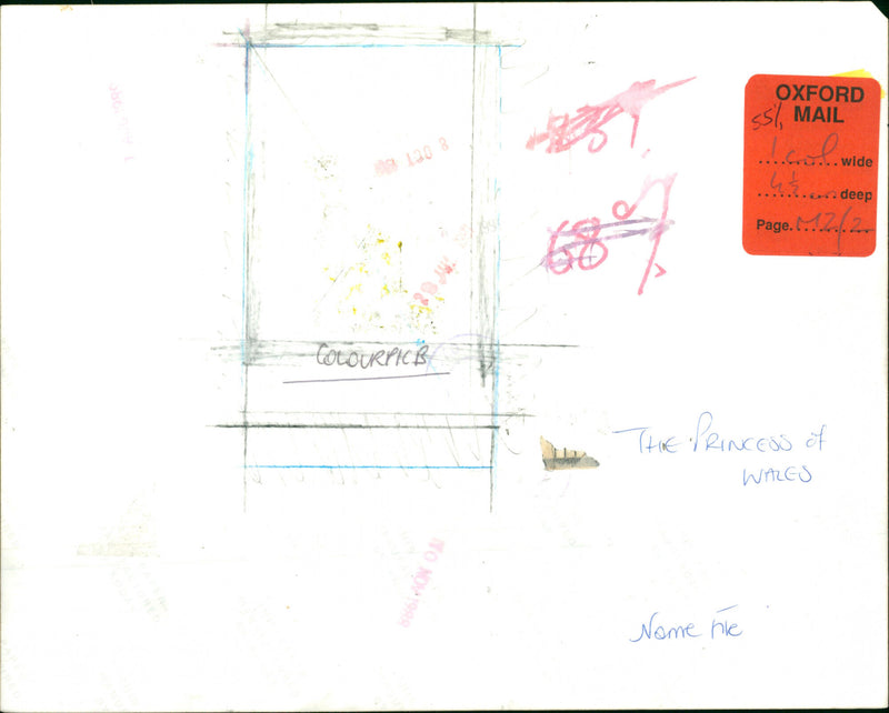 The princess of wales - Vintage Photograph