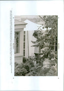 Diana, Princess of Wales - Vintage Photograph