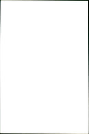 Princess Diana - Vintage Photograph