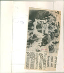 Diana, Princess of Wales - Vintage Photograph