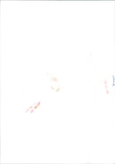 Diana, Princess of Wales - Vintage Photograph