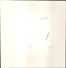 Diana, Princess of Wales - Vintage Photograph