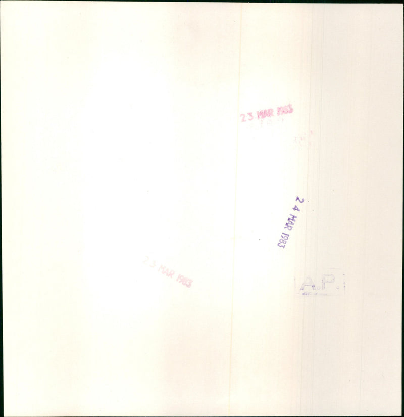 Diana, Princess of Wales - Vintage Photograph