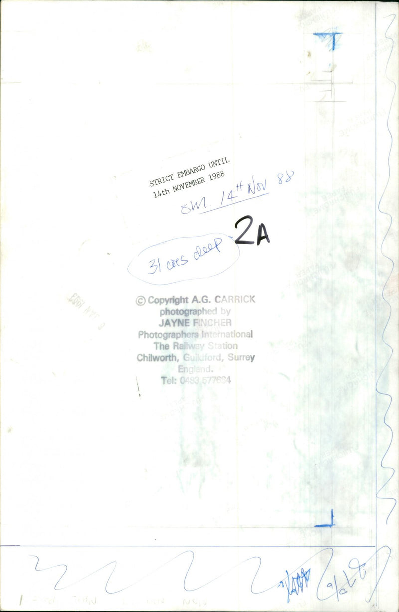 Diana, Princess of Wales - Vintage Photograph