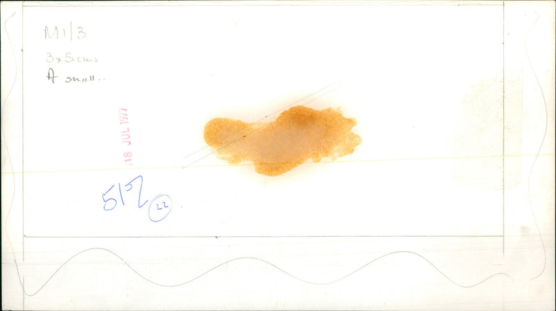 Guests at an event. - Vintage Photograph