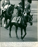 Queen Elizabeth II - Vintage Photograph