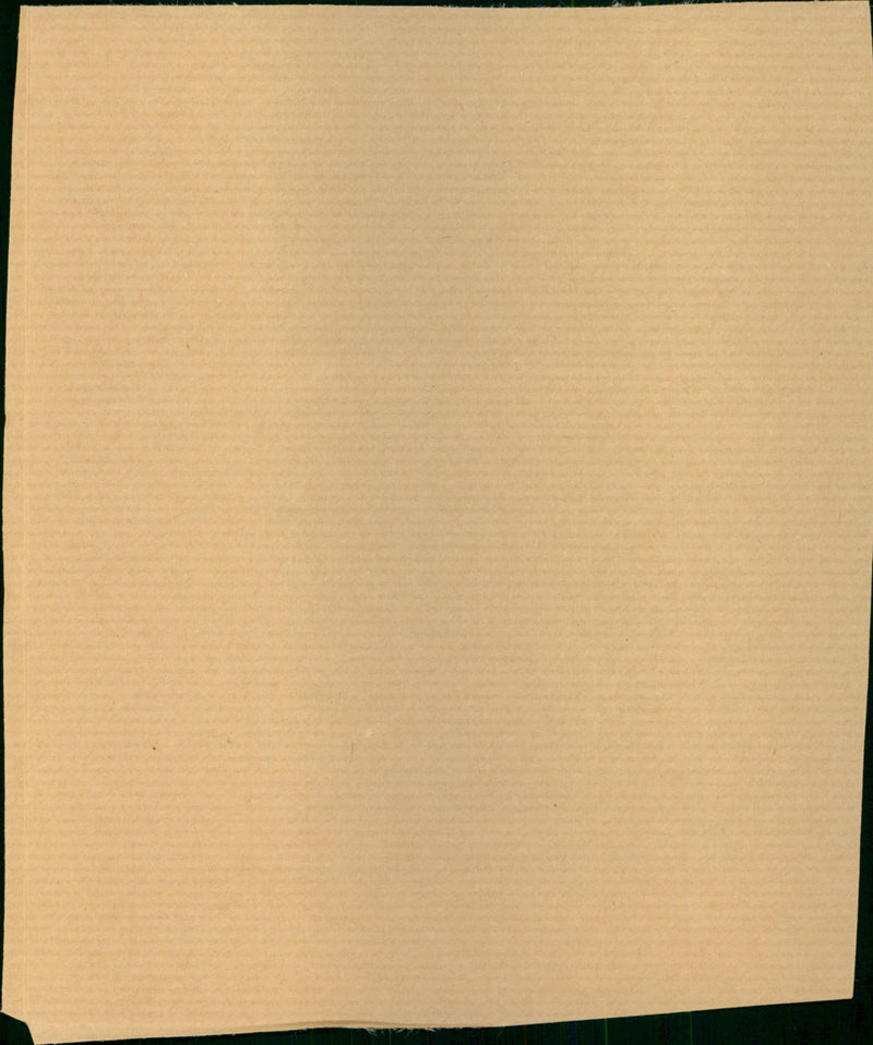 Bryony Ellis - Vintage Photograph