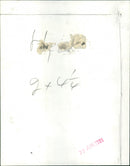 Queen Elizabeth II - Vintage Photograph