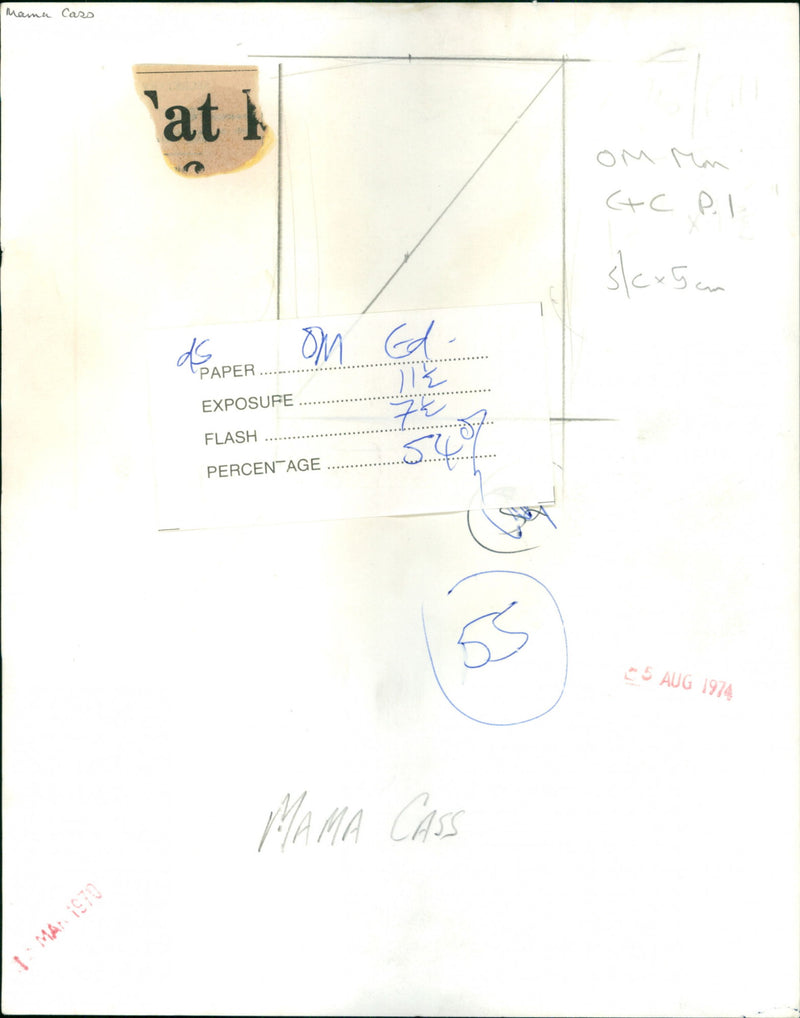 Mama Cass - Vintage Photograph