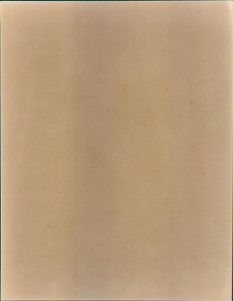 Mia Farrow - Vintage Photograph